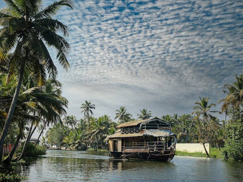 Traditional houseboat on the Kerala backwaters between palm trees