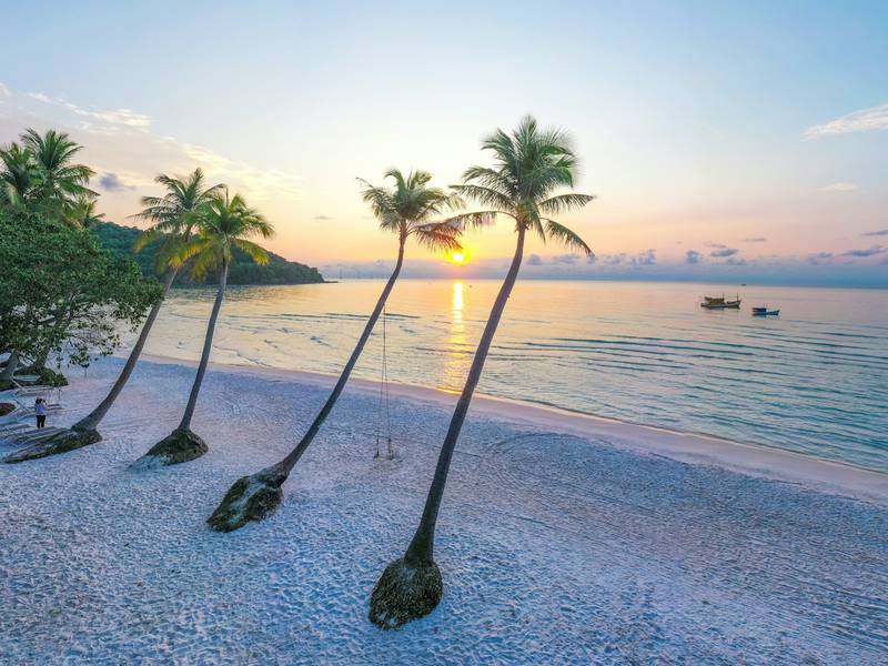 Palm trees on a beach at sunset in Phu Quoc, Vietnam