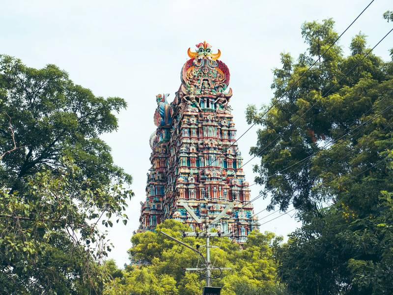 Colourful temple gopuram rising above trees in Tamil Nadu